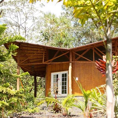 Kalani Oceanside Retreat Vila Pahoa Exterior foto