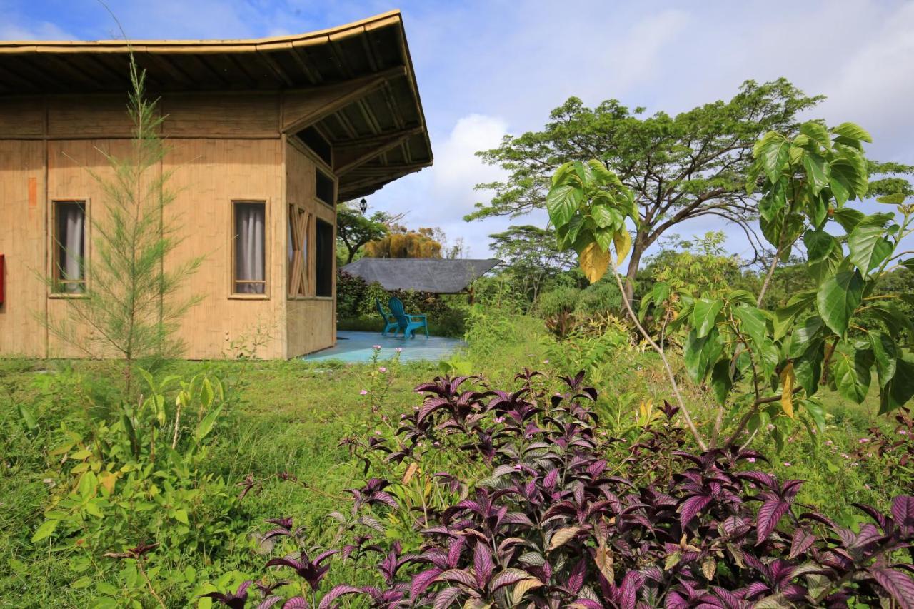 Kalani Oceanside Retreat Vila Pahoa Exterior foto