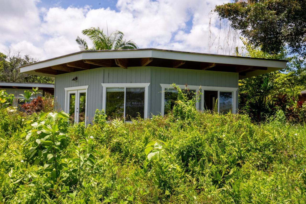 Kalani Oceanside Retreat Vila Pahoa Exterior foto